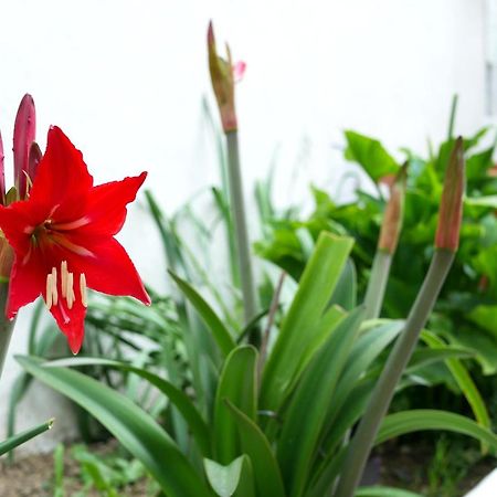 Pienosole B&B ฟรานคาวิลลา อัลมาเร ภายนอก รูปภาพ